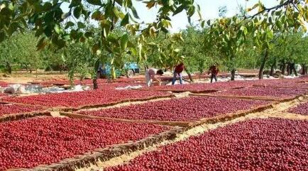 90��С�ﴴҵ��׼���ز�