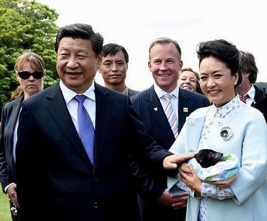 ϰ����������ش��ݽ���