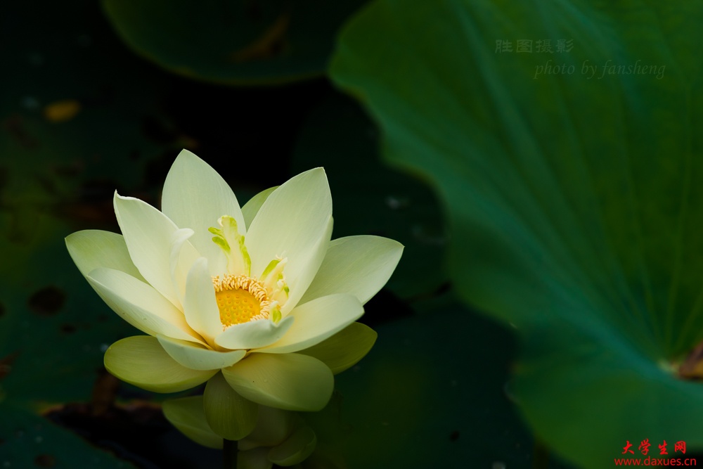 ���õ��غ�