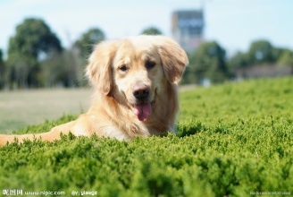 �����Ҹ�